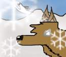 bolto in the snow agan 