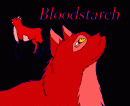 Bloodstarch