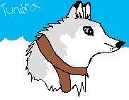 Tundra