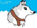 Tundra