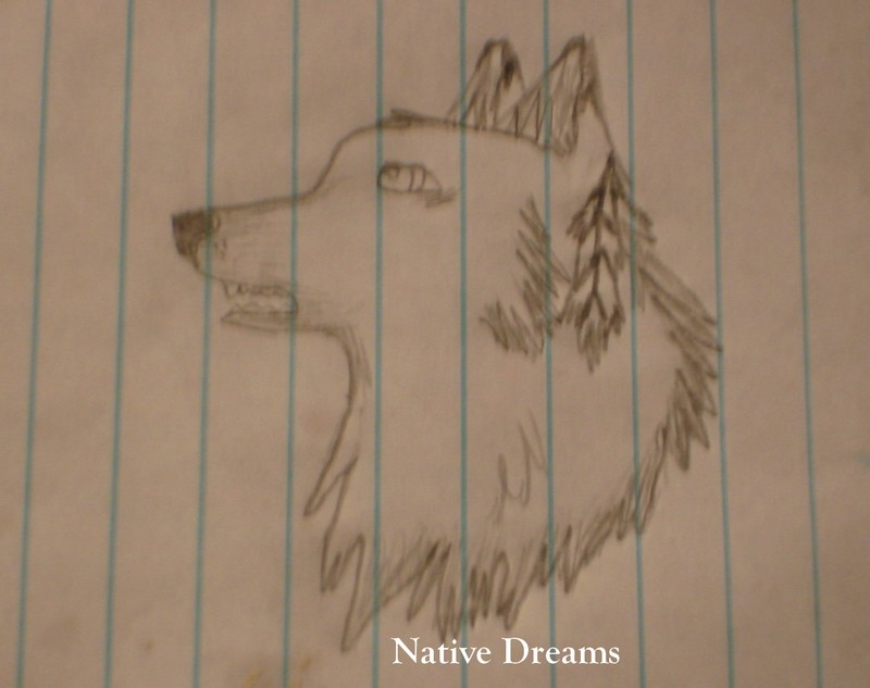 Native Dreams