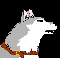 Arctic Tundra