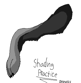 Wolf front lleg - shading practice