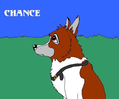 Chancey-boo