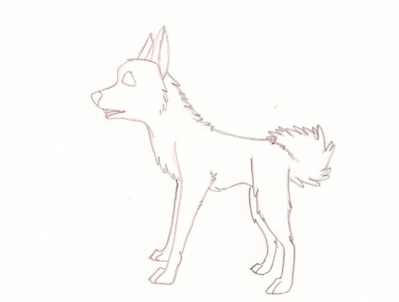 Alaskan husky WIP