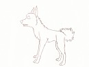 Alaskan husky WIP