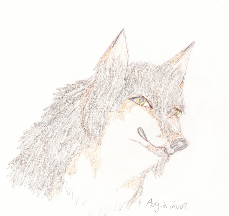 Wahya (Realism practice)