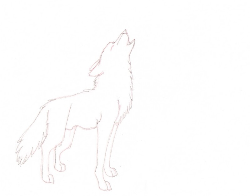 Howling Wolf WIP