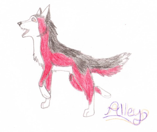 Alley