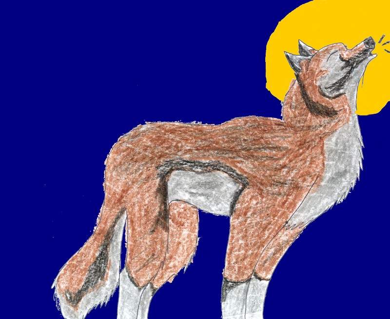 Timber Wolf