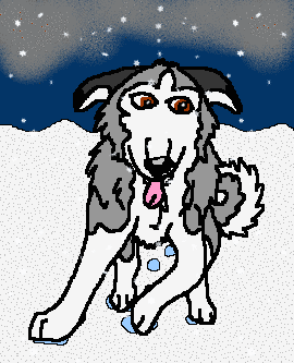 Doggeh in the snow
