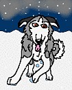 Doggeh in the snow
