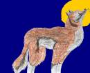 Timber Wolf