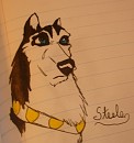 Steele