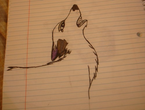 Rawr