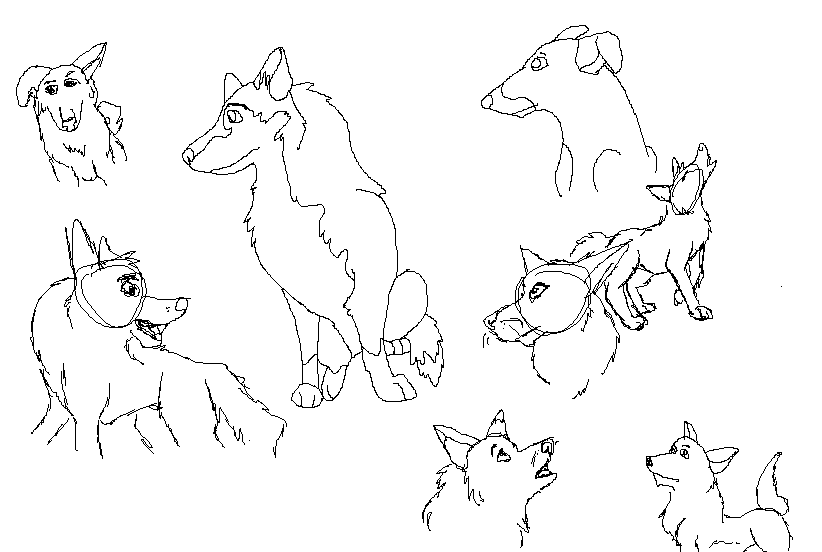 Sketches