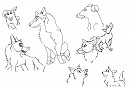 Sketches