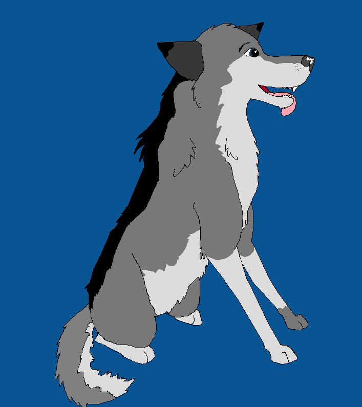 For Silwer-Paw