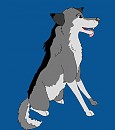 For Silwer-Paw