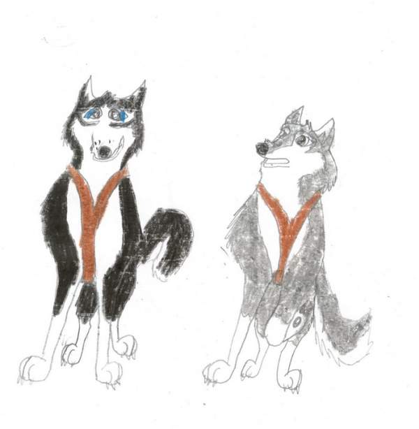 Sled Dogs