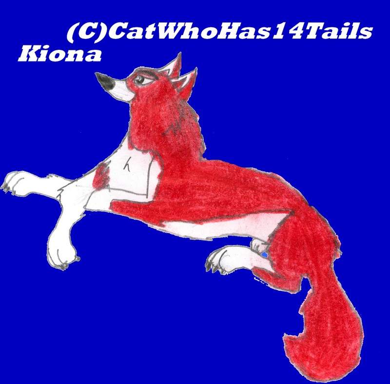 Kiona Laying Down
