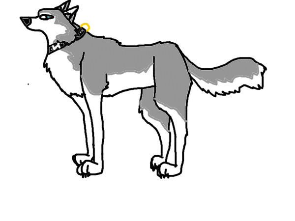 Meh Dog