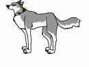 Meh Dog