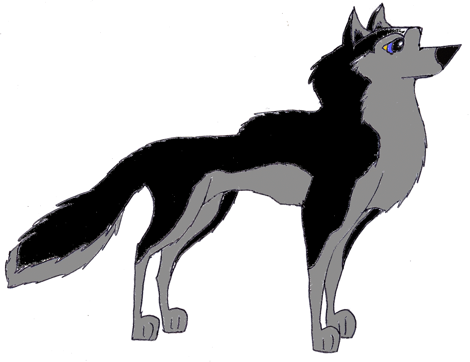Another Wolf