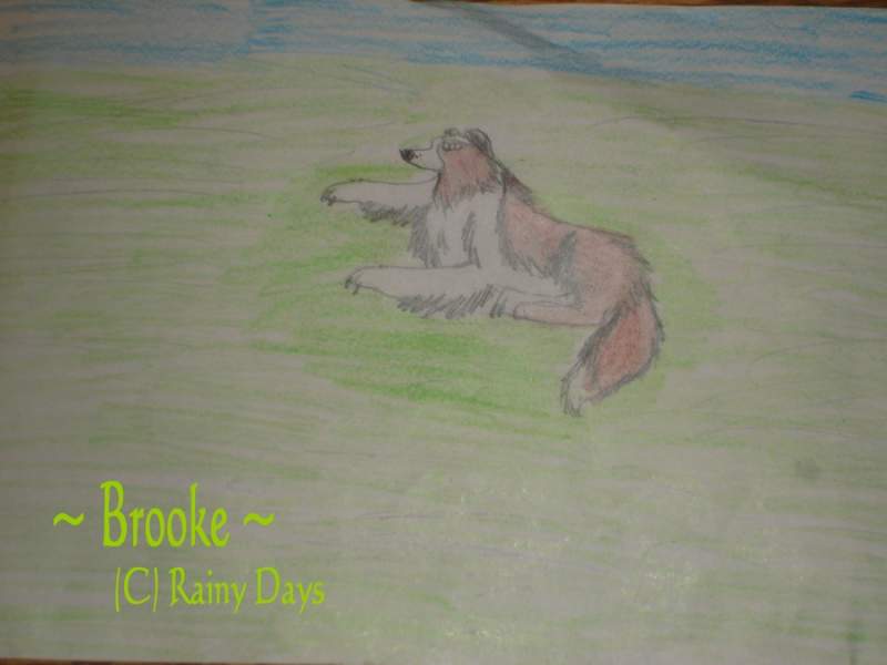 Brooke Laying Down