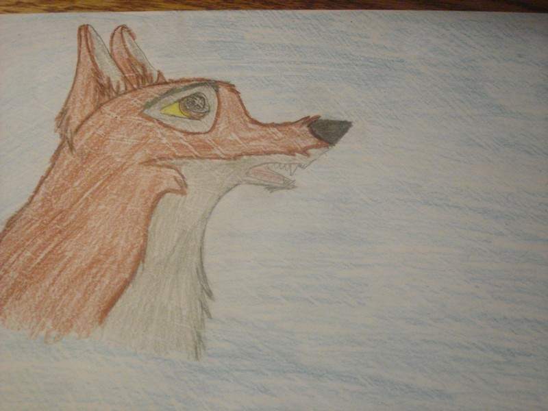 A terrible Balto