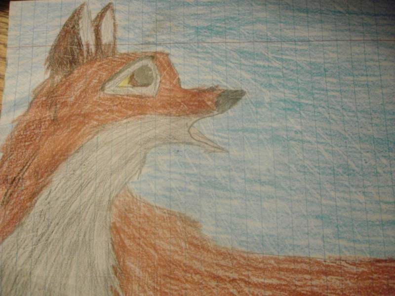 Balto