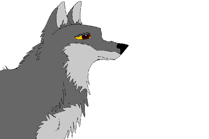 Wolf I guess