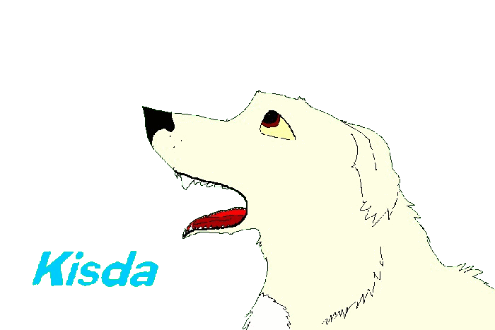 Kisda