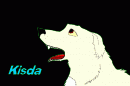Kisda