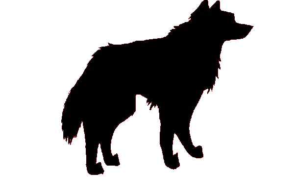 Shadow