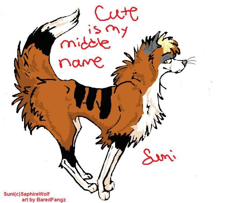saphire's suni