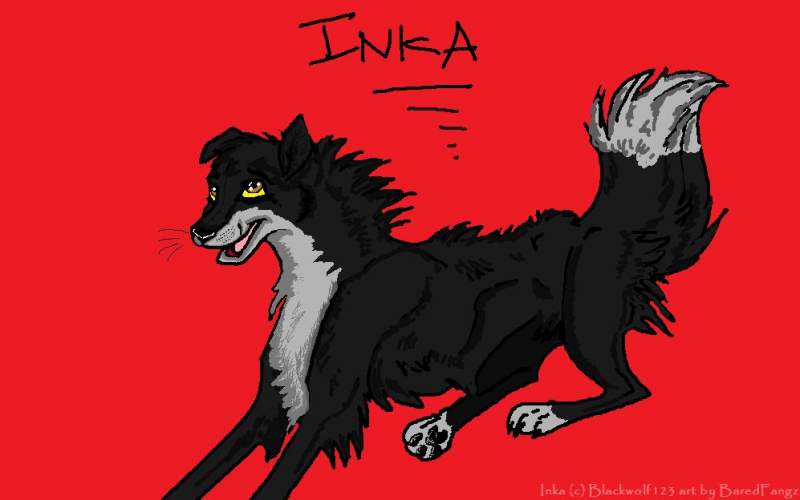Inka by Blackwolf123