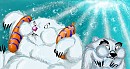 they can swiiiimmm !!!!!!!!!!!!!!!!!!!!!!!!!!