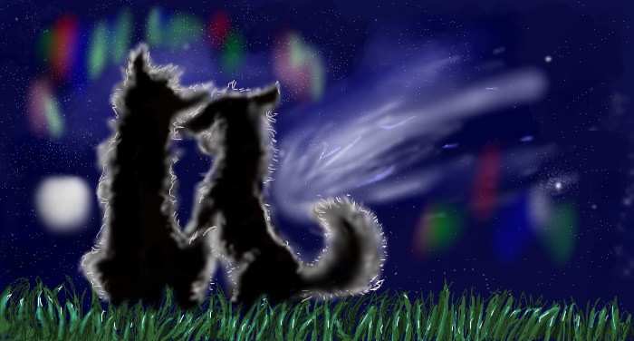 Make a Wish !