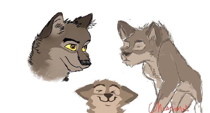 to look at and maybe snuggle a little :3
