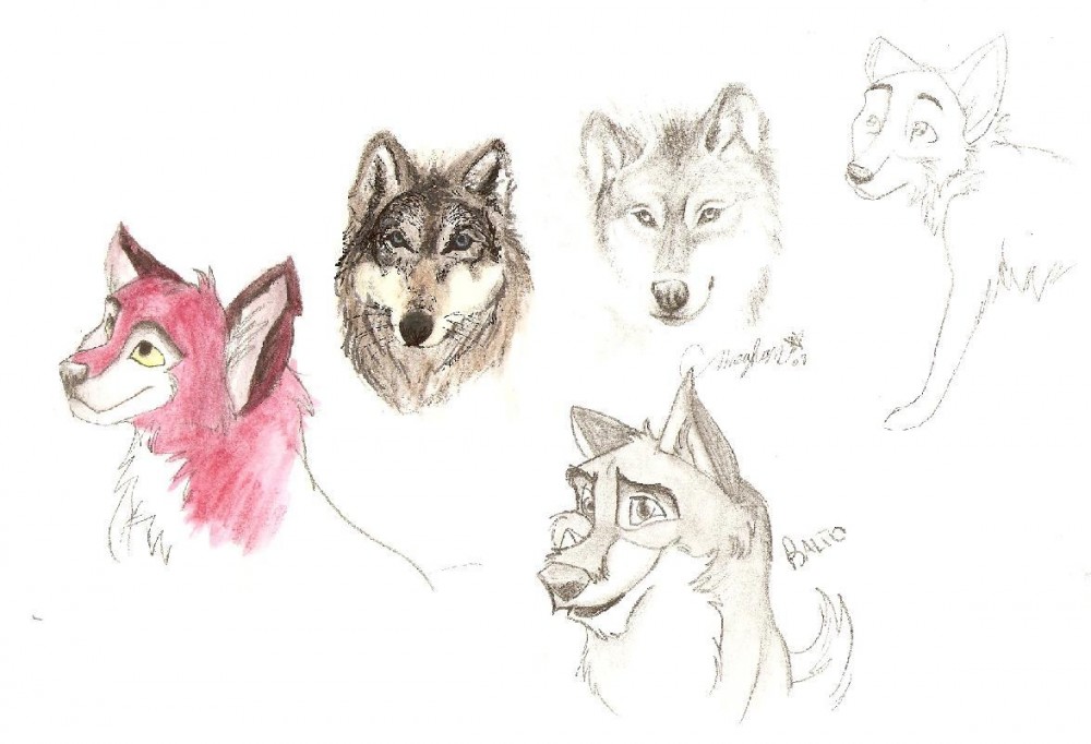 yay! my scanner works !!!