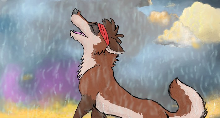 yummy rain, yummy rain