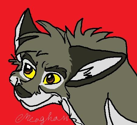 young wolf/dog
