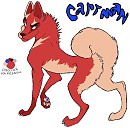Carty