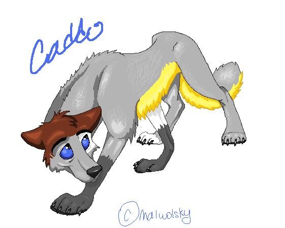CADDO !! ^^