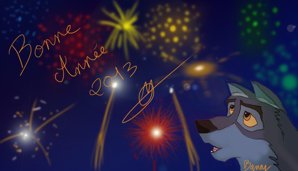 Bonne Année 2013