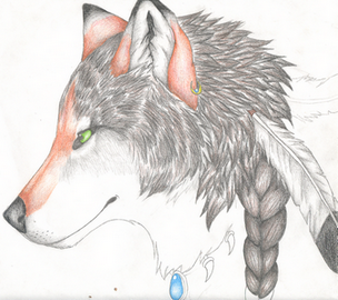 Indian Wolf