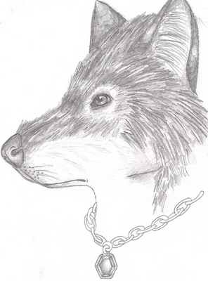 Sketch