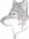 Sketch