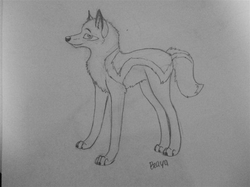 Baya